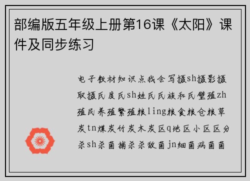 部编版五年级上册第16课《太阳》课件及同步练习